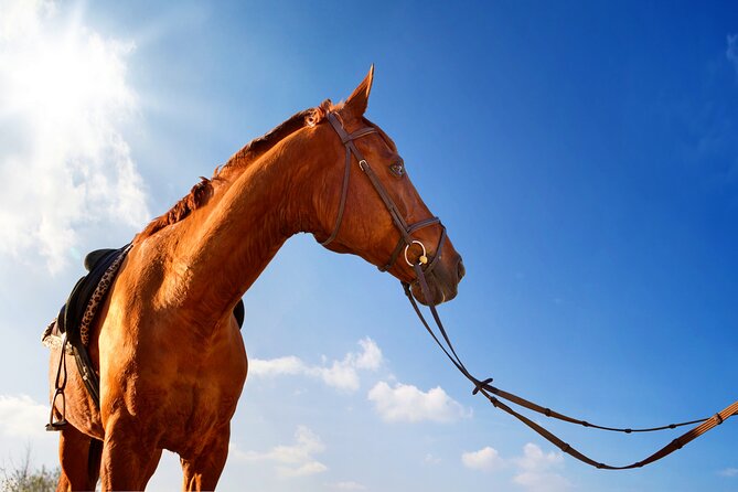Horse Riding on the Beach in Side - The beach route and coastal photo stop