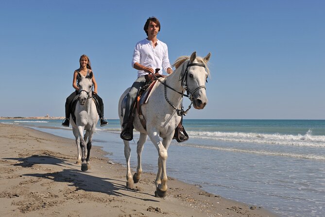 Horse Riding on the Beach in Side - What the $91.92 price buys you