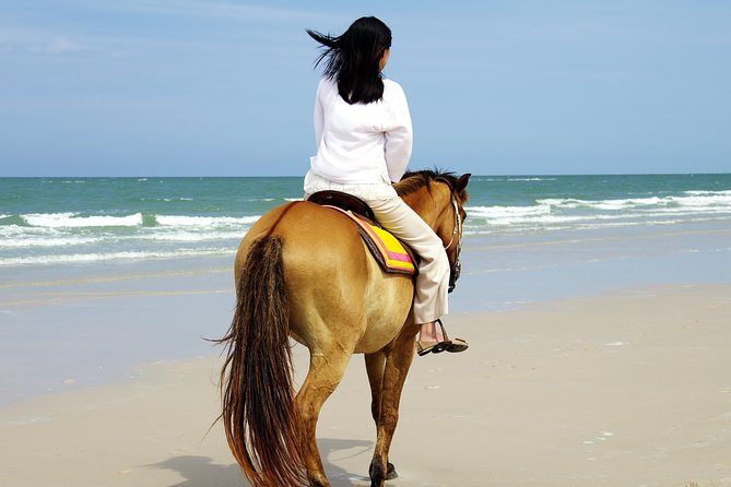 Horse Riding on the Beach in Side - The pine forest and river route