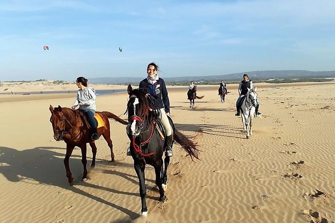 Horse riding on the beach of Essaouira 2 hours - Meeting the Barb-Arabian horses