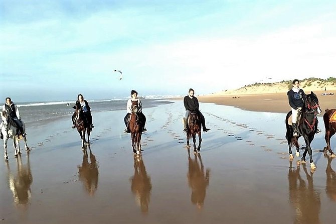 Horse riding on the beach of Essaouira 3 hours - Key things to know before booking
