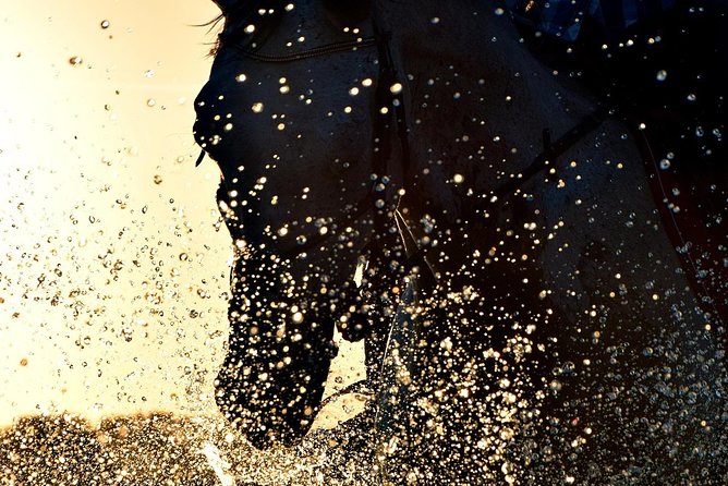 Horse riding on the Beach, Rhodes - The sea splash that may or may not happen