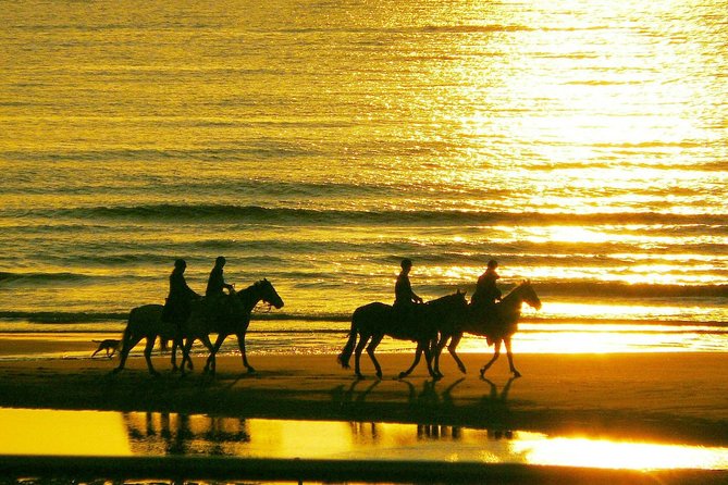 Horse riding on the Beach, Rhodes - What the $133.12 price really buys