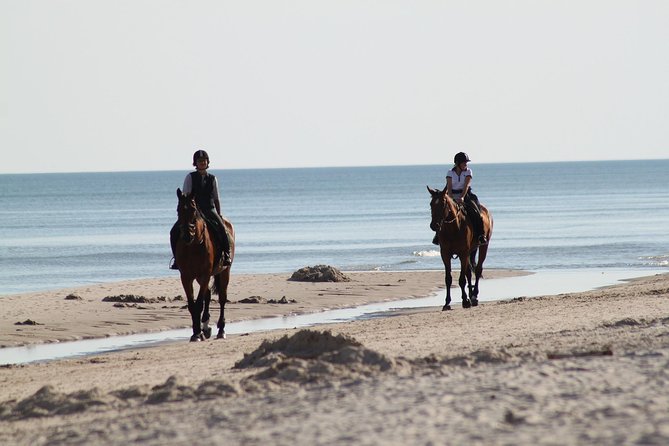 Horse riding on the Beach, Rhodes - Who will enjoy this ride most