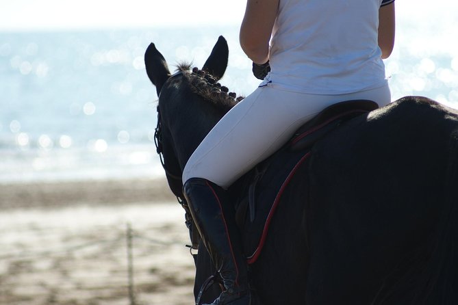 Horse riding on the Beach, Rhodes - Practical planning for Theologos