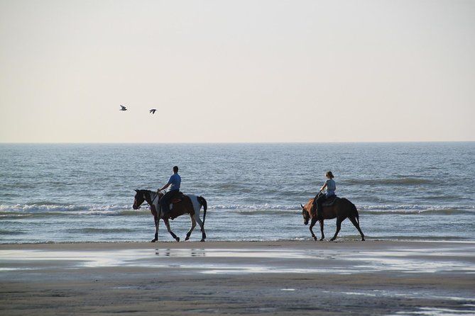 Horse riding on the Beach, Rhodes - My verdict on the Rhodes beach ride