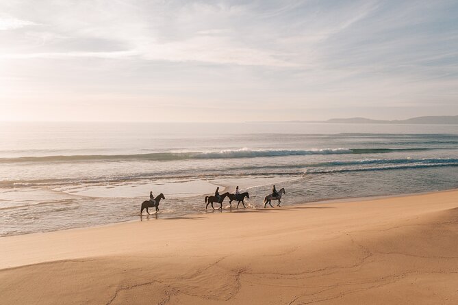 Horse Riding on the Beach with private transfer from Lisbon - From Lisbon to Comporta by private vehicle