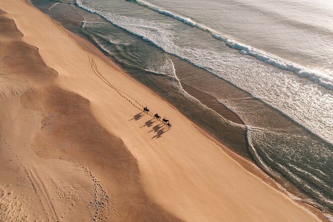 Horse Riding on the Beach with private transfer from Lisbon - Clothes, weather, and small practical details