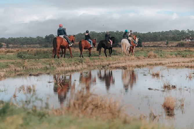 Horse Riding on the Beach with private transfer from Lisbon - Safety, comfort, and horse welfare
