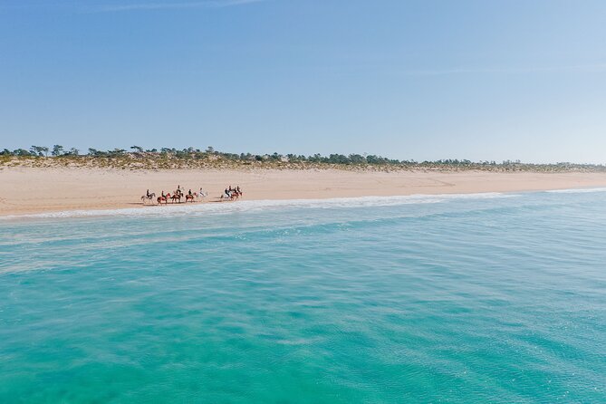 Horse riding on the beach, with private transfer from Lisbon - Meeting the horses near Melides