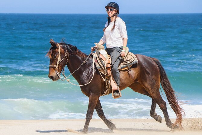 Horse Riding on the beach With Transfer From Sharm El Sheikh - Quick facts about the Sharm el Sheikh horse ride