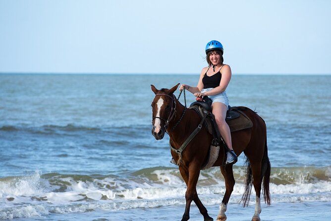 Horse Riding on the beach With Transfer From Sharm El Sheikh - From your hotel to the riding stable