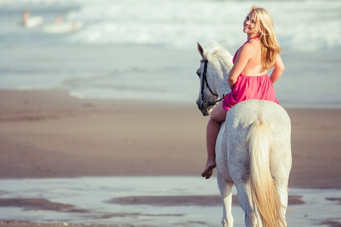 Horse Riding on the beach With Transfer From Sharm El Sheikh - The guides make the difference