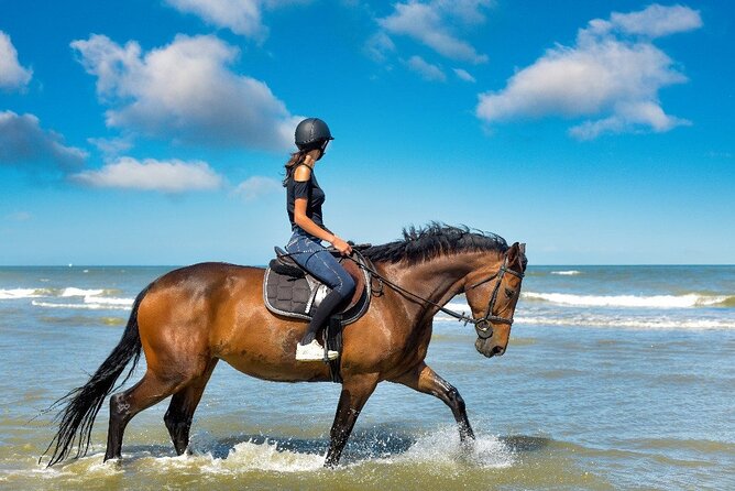 Horse Riding on the beach With Transfer From Sharm El Sheikh - Is the $8.43 starting price good value?