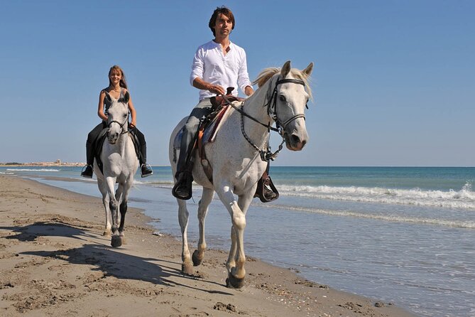 Horse Riding on the beach With Transfer From Sharm El Sheikh - The safety briefing comes before the ride