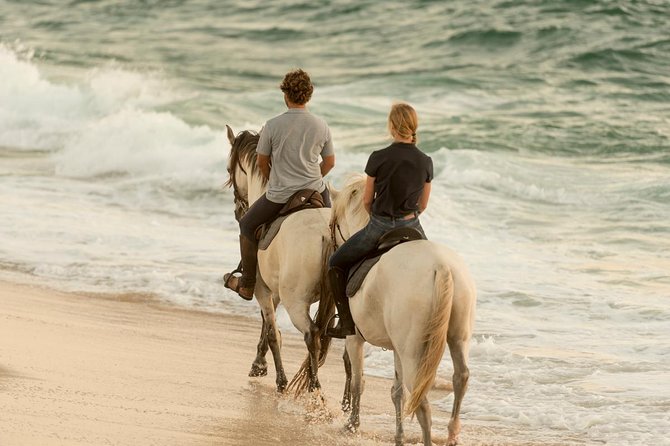 Horse Riding on the beach - What the one-hour itinerary is likely to feel like