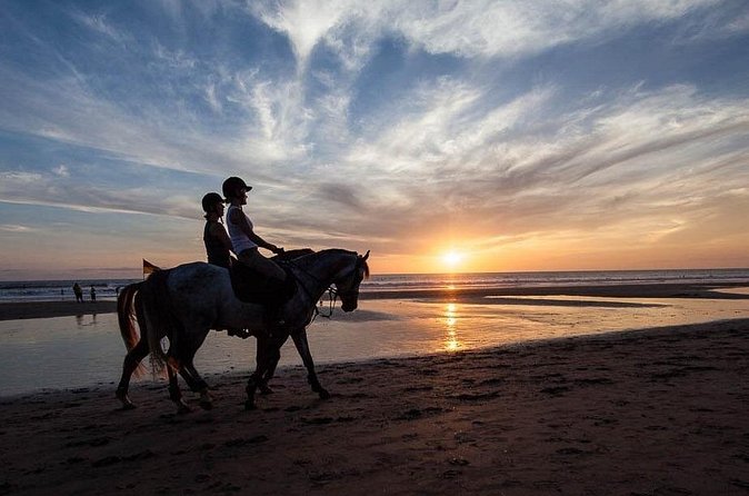 Horse Riding on the Black Sand Beach and Free Hotel Transfers - Safety rules and physical demands