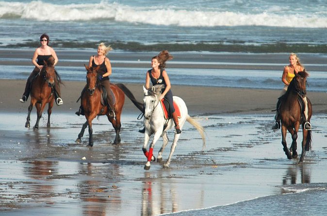 Horse Riding on the Black Sand Beach and Free Hotel Transfers - Is $74 a fair price?