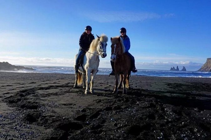 Horse Riding on the Black Sand Beach and Free Hotel Transfers - Who will enjoy this most
