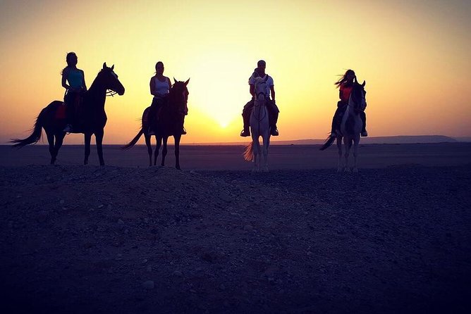 Horse Riding One Hour at Desert With Transfer - Sharm El Sheikh - Key points before you book