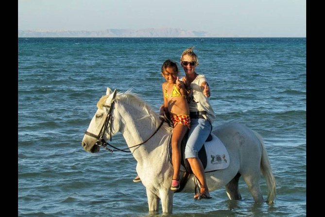 Horse Riding One Hour at Desert With Transfer - Sharm El Sheikh - Photos, pace, and what is not included