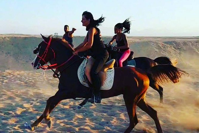 Horse Riding One Hour at Desert With Transfer - Sharm El Sheikh - Who will enjoy this desert ride most