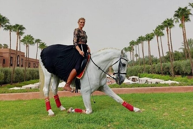 Horse Riding one hour Palmeraie Grove & Transfer - Marrakesh - Key points at a glance