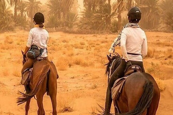 Horse Riding one hour Palmeraie Grove & Transfer - Marrakesh - Mint tea before the saddle