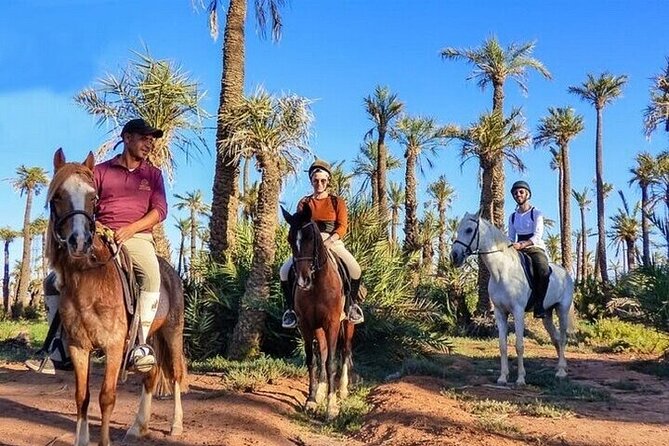 Horse Riding one hour Palmeraie Grove & Transfer - Marrakesh - Atlas Mountain views from the desert edge