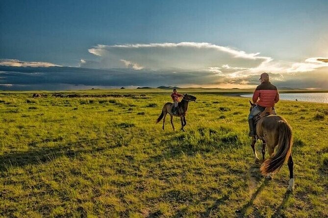 Horse Riding one hour Palmeraie Grove & Transfer - Marrakesh - Horses, helmets, and the pace of the ride