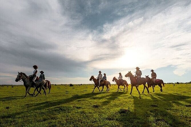 Horse Riding one hour Palmeraie Grove & Transfer - Marrakesh - What the $48 price really covers