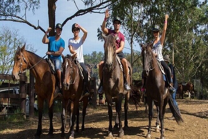 Horse Riding one hour Palmeraie Grove & Transfer - Marrakesh - Who will enjoy this ride most