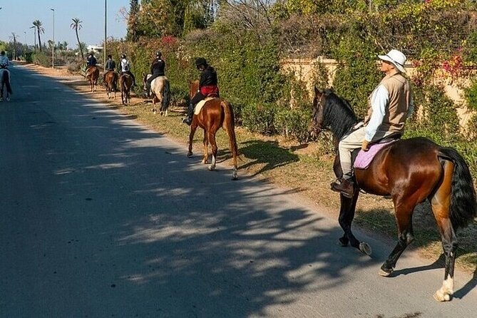 Horse Riding one hour Palmeraie Grove & Transfer - Marrakesh - One hour through the Palmeraie grove