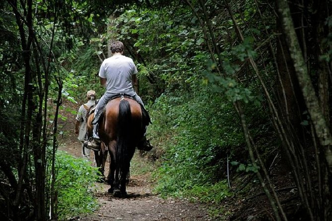 Horse Riding Small Group near Lucca - A genuinely small group, not a crowded trail ride