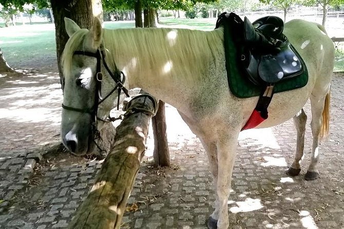 Horse Riding Small Group near Lucca - Clothing, weight, and age rules