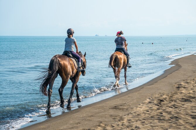 Horse Riding & Swimming Experience in the Sea & Desert - Hurghada - Key details before you book