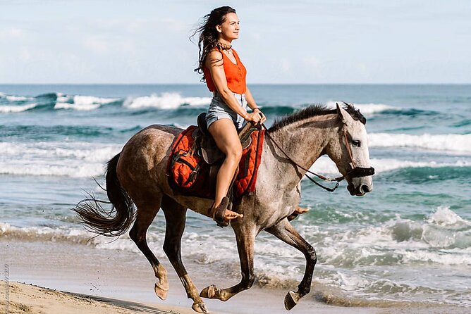 Horse Riding & Swimming Experience in the Sea & Desert - Hurghada - From Hurghada hotel to the horse yard