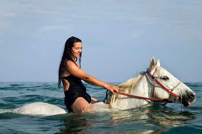 Horse Riding & Swimming Experience in the Sea & Desert - Hurghada - Is $22 a good value?