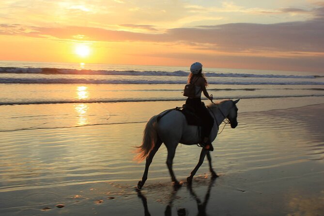Horse Riding & Swimming Experience in the Sea & Desert - Hurghada - Into the golden desert