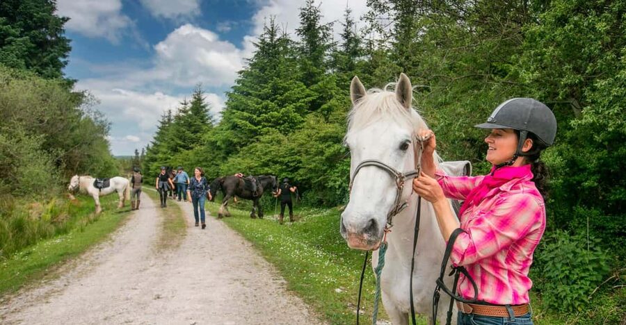 Horse riding the dirt trail. Clare. Guided. 1 hour - What the One-Hour Route Includes
