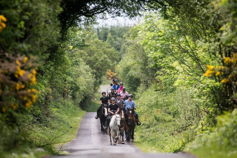 Horse riding the mountain trail. Clare. Guided, 2 hours - From the stables into the Burren