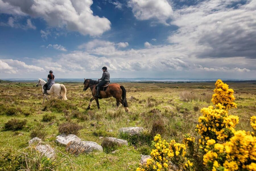 Horse riding the mountain trail. Clare. Guided, 2 hours - The high viewpoint above the Atlantic