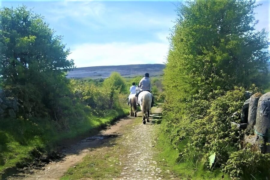 Horse riding the mountain trail. Clare. Guided, 2 hours - Booking advice and final call