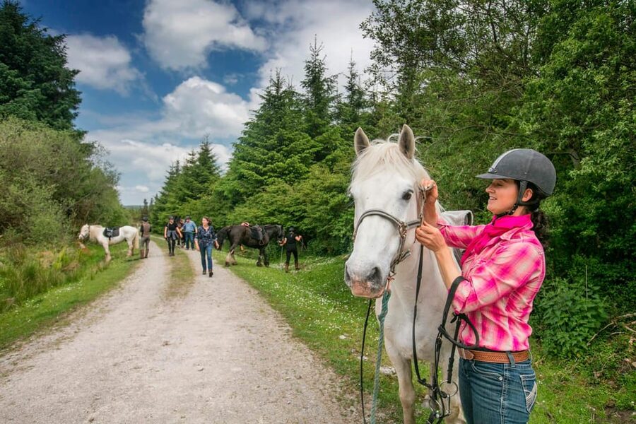 Horse riding the mountain trail. Clare. Guided, 2 hours - Slieve Elva and the rocky Burren terrain