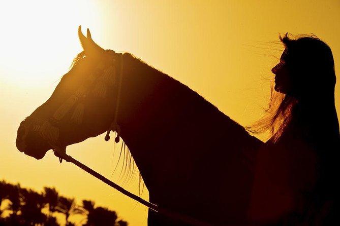Horse Riding Tour 2 Hours on Sea And Desert & Transfer -Hurghada - Riding into the Red Sea