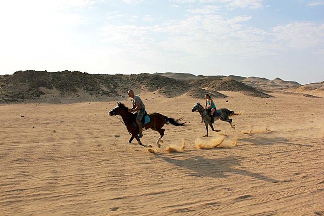 Horse Riding Tour 2 Hours on Sea And Desert & Transfer -Hurghada - What the guides add to the experience