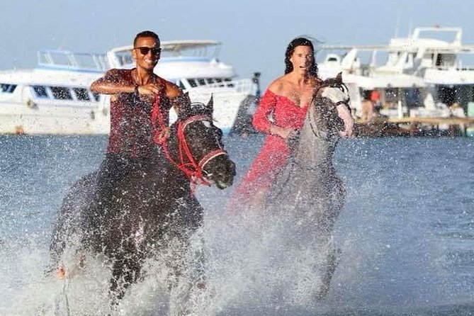 Horse Riding Tour 2 Hours on Sea And Desert & Transfer -Hurghada - Safety, traffic, and horse care