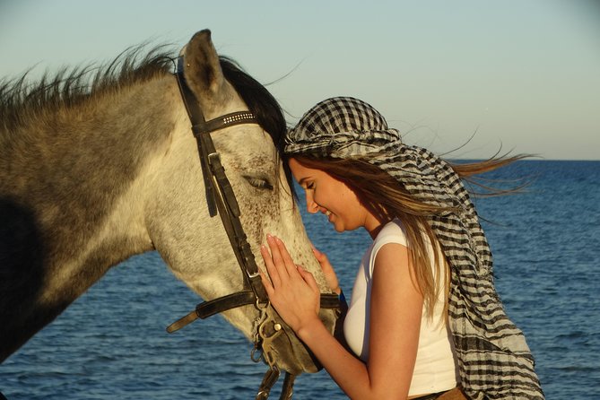 Horse Riding Tour 2 Hours on Sea And Desert & Transfer -Hurghada - Who should book this Hurghada horse ride?