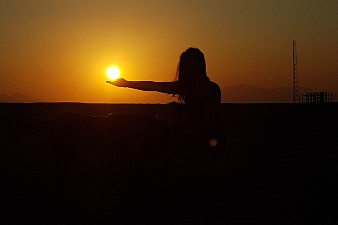 Horse Riding Tour 2 Hours Sea And Desert with Transfer - Hurghada - Key points at a glance