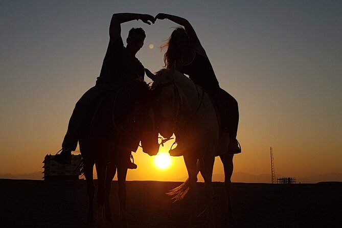 Horse Riding Tour 2 Hours Sea And Desert with Transfer - Hurghada - Taking the horse into the sea
